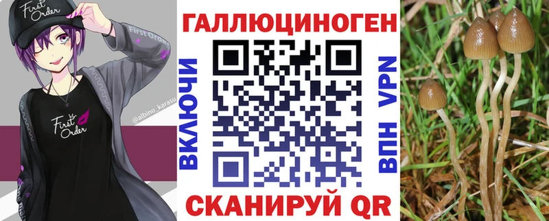 Галлюциногенные грибы GOLDEN TEACHER  Бахчисарай 
